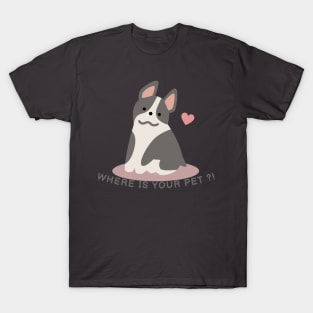 Where's Your Pet ?! Don't Let Him Alone T-Shirt